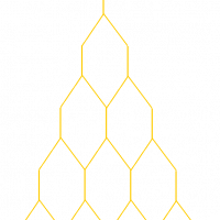 SafeTree Single User License (1 Month Subscription)